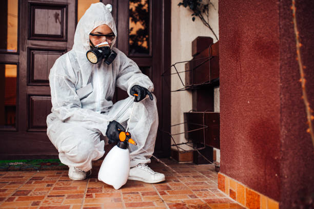 Reliable Cockroach Control contractor in Monticello, AR by Nex Pest Control